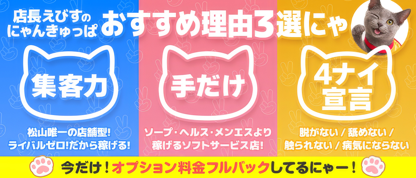 2980円（にゃんきゅっぱ）